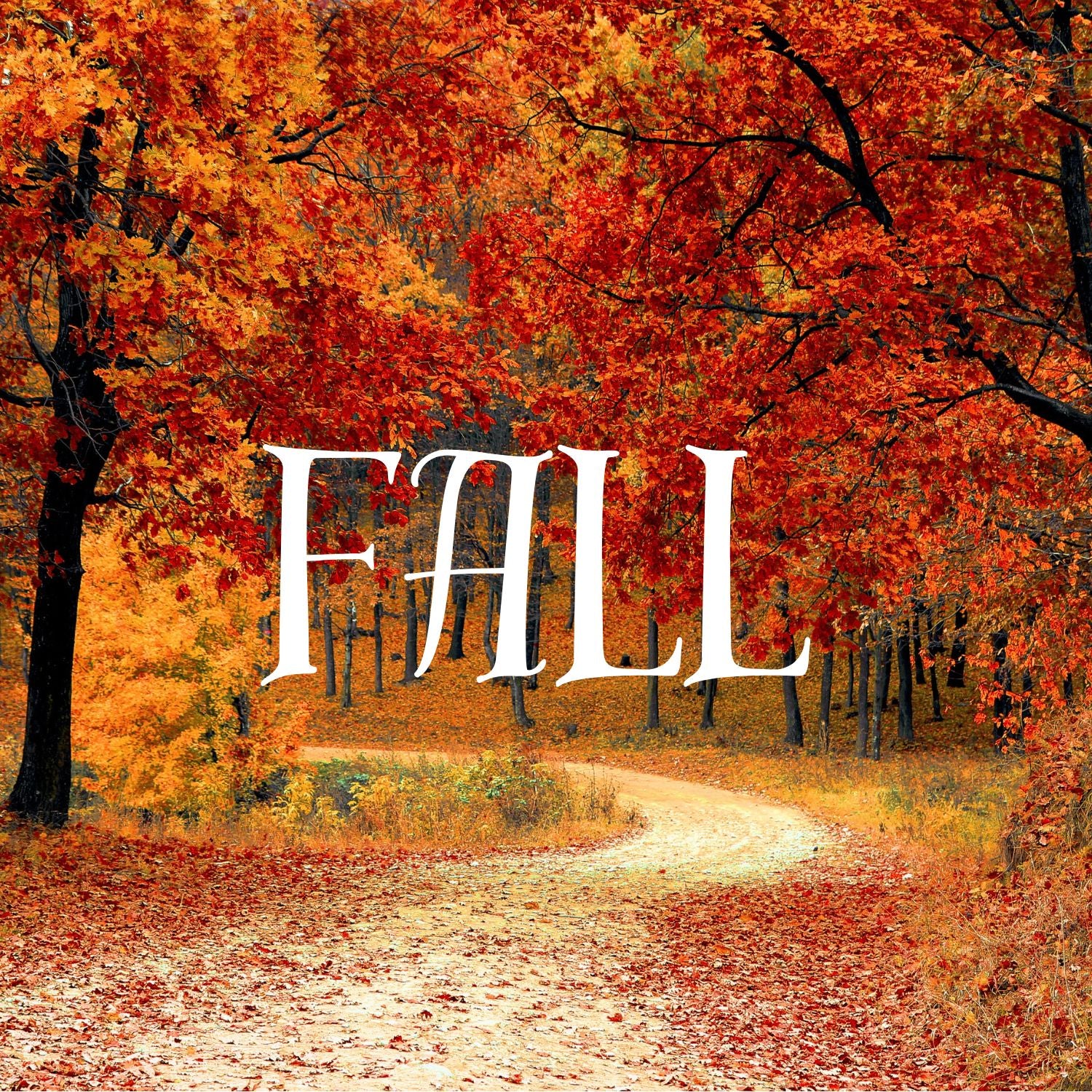 My favorite season is here! Cedarburg Threads