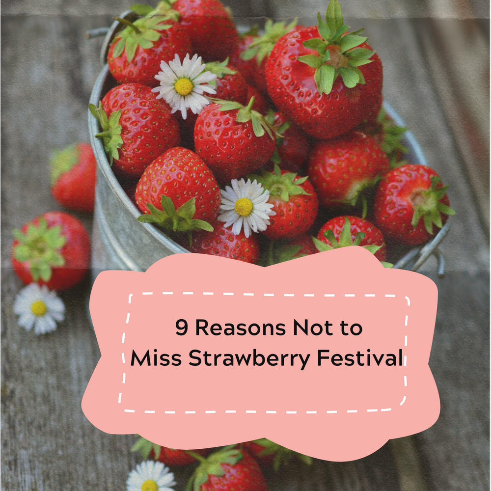 Cedarburg Strawberry Festival 2025