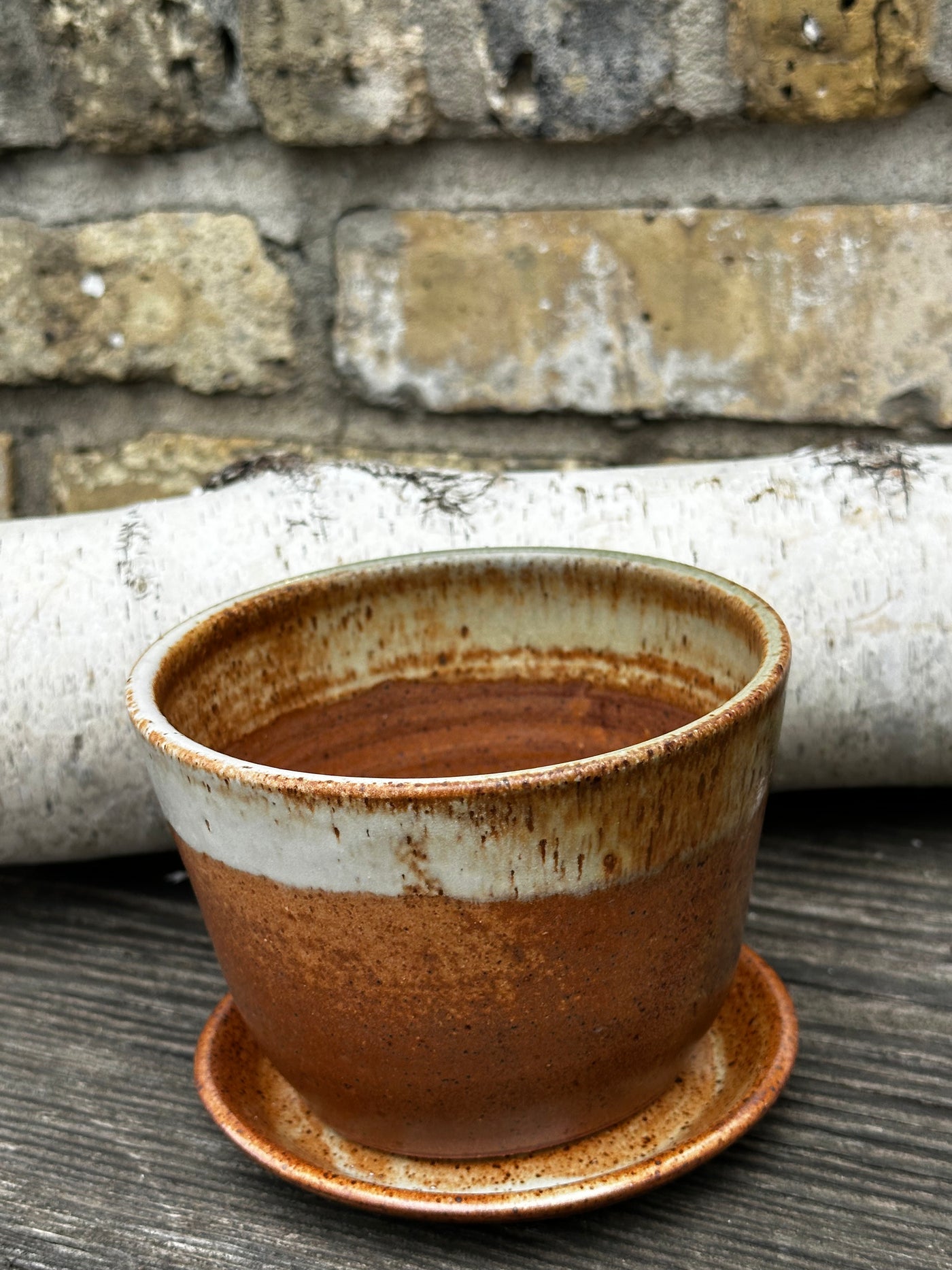 Ceramic Planter and saucer