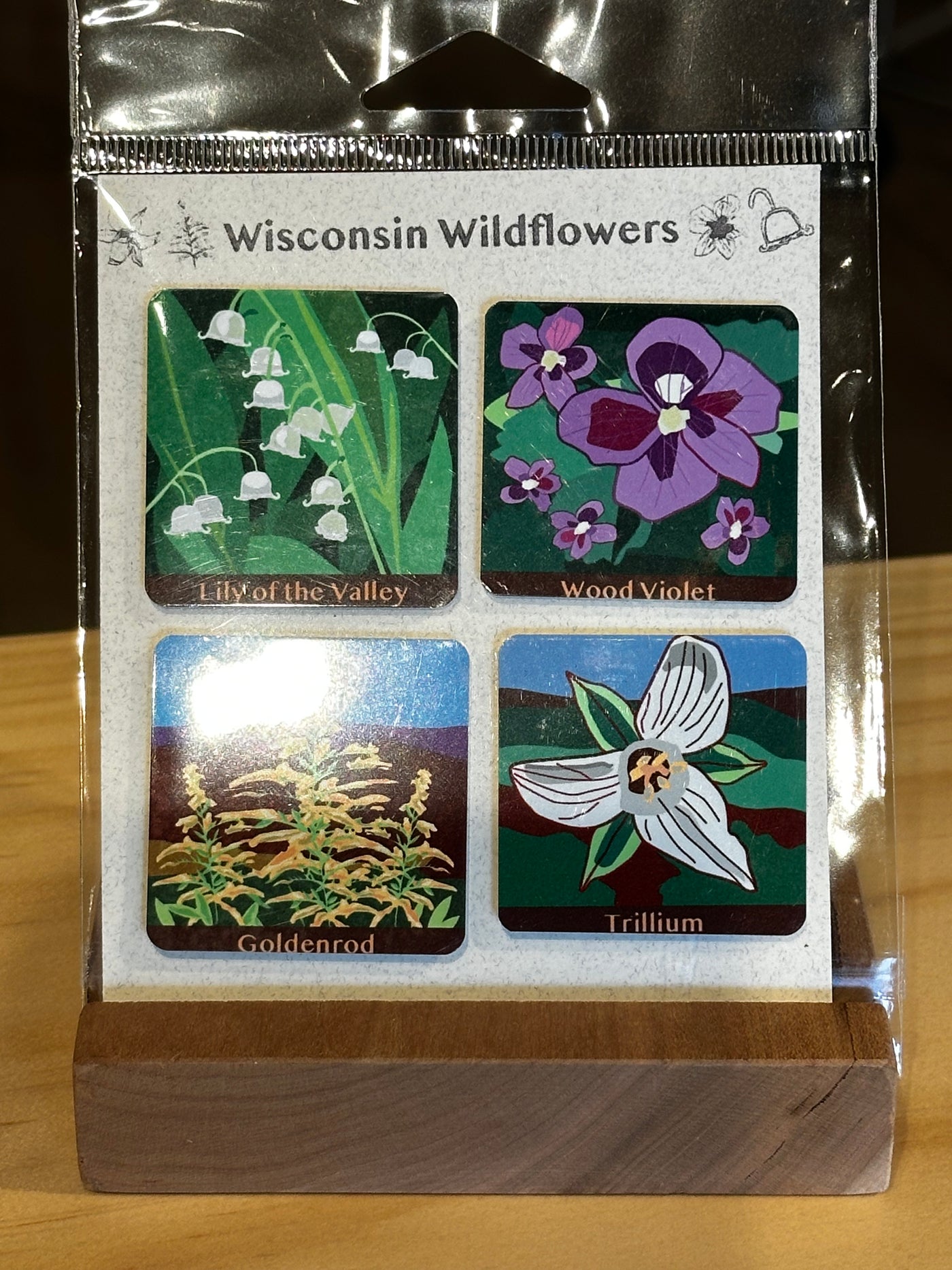 Wisconsin Wildflower Magnets