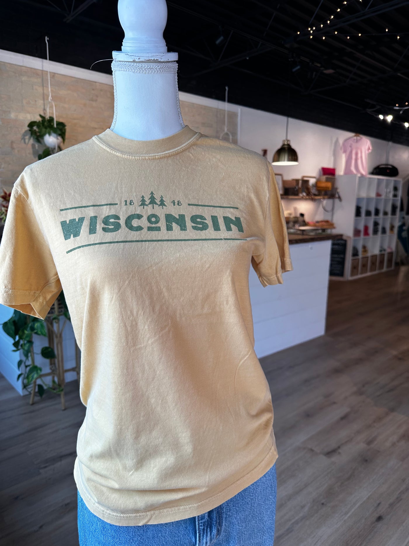 Wisconsin 1848 Unisex Heavyweight Tee