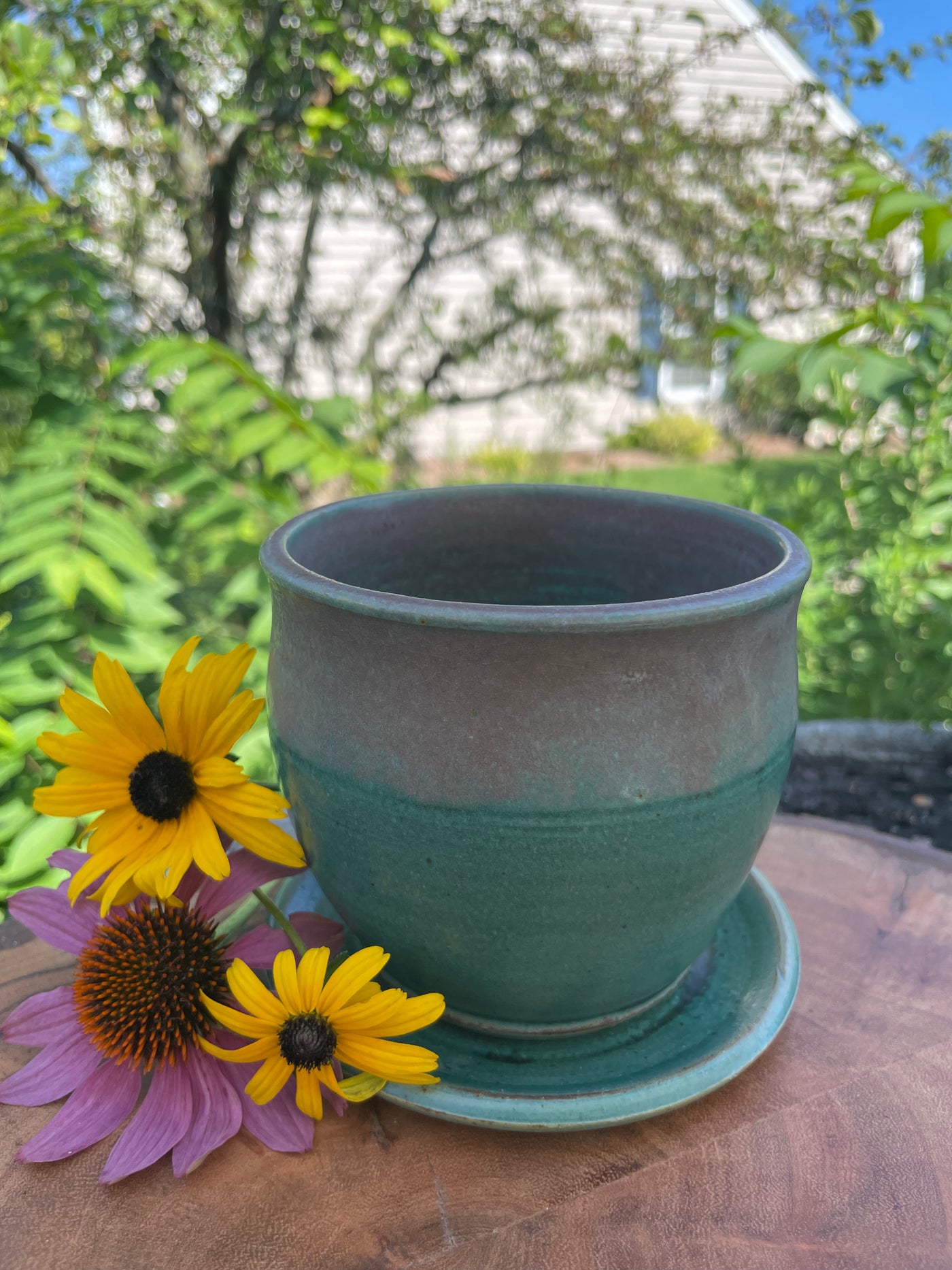 Hand-thrown Planter and saucer